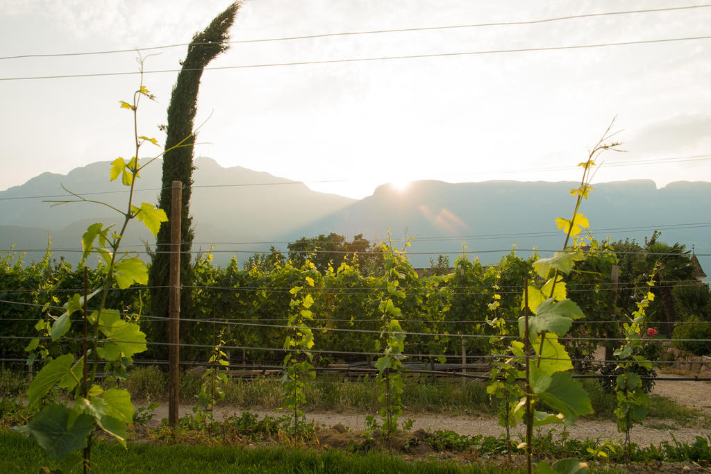 Ferienwohnung Pippohof Appiano Sulla Strada Del Vino Chambre photo